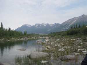 This is larger view of the landscape where the close-up photos came from.