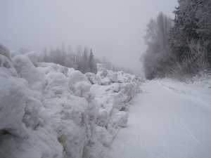The Great Wall of Birch Street by Maria Shell