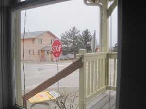 Wind Storm in Homer