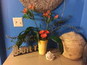 Images, Thoughts, and Updates January 2016