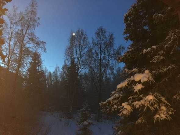 9:15AM Solstice