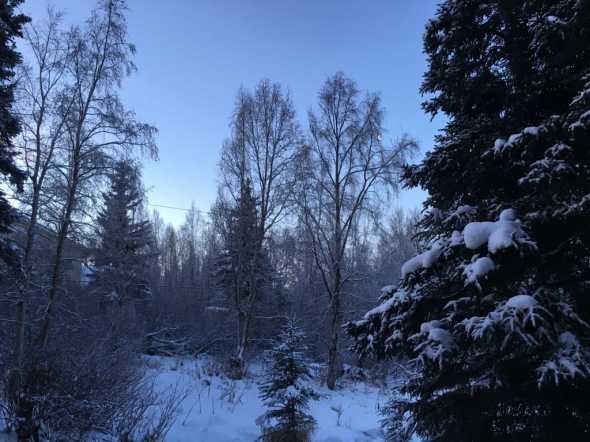 10:15AM Solstice