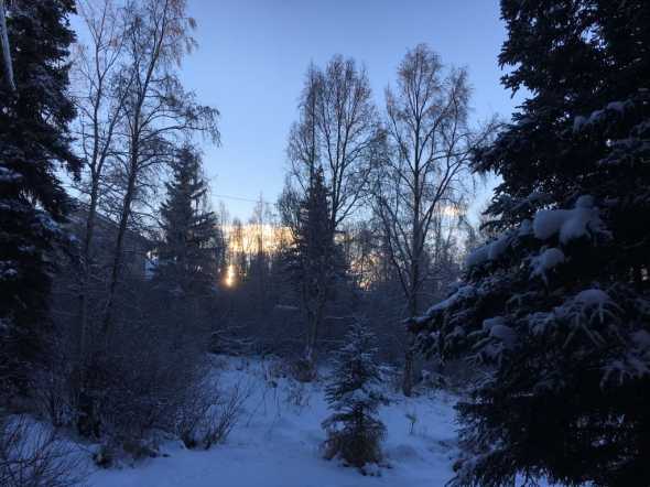 2:15PM Solstice--Do you see the sun? That is it's high point in the sky.